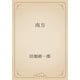 南方（青空文庫） [電子書籍]