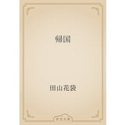 帰国（青空文庫） [電子書籍]