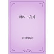 雨の上高地（青空文庫） [電子書籍]