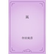 嵐（青空文庫） [電子書籍]