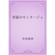 青磁のモンタージュ（青空文庫） [電子書籍]