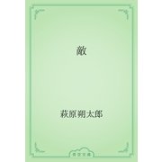 敵（青空文庫） [電子書籍]