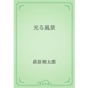 光る風景（青空文庫） [電子書籍]