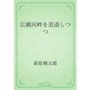 広瀬河畔を逍遥しつつ（青空文庫） [電子書籍]