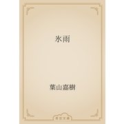 氷雨（青空文庫） [電子書籍]