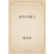青空の梯子（青空文庫） [電子書籍]