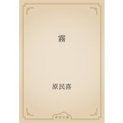 霧（青空文庫） [電子書籍]