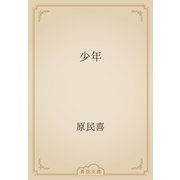 少年（青空文庫） [電子書籍]