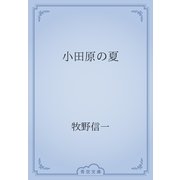 小田原の夏（青空文庫） [電子書籍]