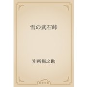雪の武石峠（青空文庫） [電子書籍]