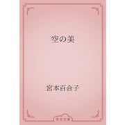 空の美（青空文庫） [電子書籍]