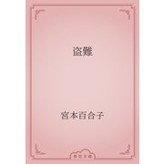 盗難（青空文庫） [電子書籍]