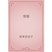 突堤（青空文庫） [電子書籍]