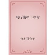 飛行機の下の村（青空文庫） [電子書籍]