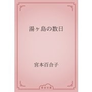 湯ヶ島の数日（青空文庫） [電子書籍]