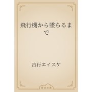 飛行機から墜ちるまで（青空文庫） [電子書籍]