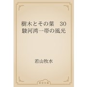 樹木とその葉　30 駿河湾一帯の風光（青空文庫） [電子書籍]