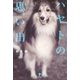 ハヤトの思い出 （東洋出版） [電子書籍]