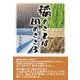 稲のことば 田のこころ （東洋出版） [電子書籍]