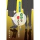 中高生諸君への本です 自分を変える その九 セックスを甘く見ない！（東洋出版） [電子書籍]
