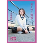 屋上の三角形（主婦と生活社） [電子書籍]