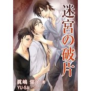 迷宮の破片（いるかネットブックス） [電子書籍]