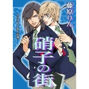 硝子の街（いるかネットブックス） [電子書籍]