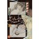 エナニマティ2(上)（ジュネット） [電子書籍]
