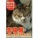 恋猫暦～9月編 ときには充電しようよ（いるかネットブックス） [電子書籍]