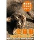 恋猫暦～12月編 何処に行こうか・・・（いるかネットブックス） [電子書籍]