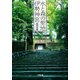 水と森の聖地 伊勢神宮(小学館文庫) （小学館） [電子書籍]