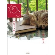 ねこできちゃった！ （小学館） [電子書籍]