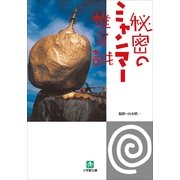 秘密のミャンマー(小学館文庫) （小学館） [電子書籍]