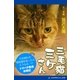 三毛猫ミケさん（アドレナライズ） [電子書籍]