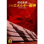 小説エネルギー戦争（光文社） [電子書籍]