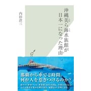 沖縄美ら海水族館が日本一になった理由(光文社新書) （光文社） [電子書籍]