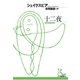 十二夜(光文社古典新訳文庫) （光文社） [電子書籍]