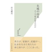 名城の由来―そこで何が起きたのか(光文社新書) （光文社） [電子書籍]
