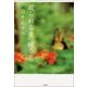 殴られる女　殴る男（二見書房） [電子書籍]