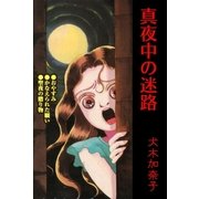 真夜中の迷路（グループ・ゼロ） [電子書籍]