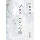 ブリューゲルへの旅（河出書房新社） [電子書籍]