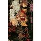 薔薇の陰謀(SHYノベルズ) （SHYノベルズ） [電子書籍]