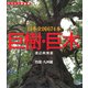 巨樹・巨木 四国・九州編 121本（山と溪谷社） [電子書籍]