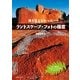 誰も伝えなかった ランドスケープ・フォトの極意（玄光社） [電子書籍]
