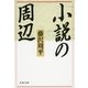 小説の周辺（文春文庫） [電子書籍]