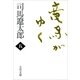 竜馬がゆく（五）（文春文庫） [電子書籍]