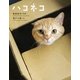 ハコネコ （文藝春秋） [電子書籍]
