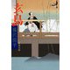 玄鳥（文春文庫） [電子書籍]