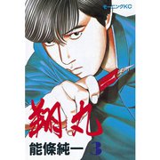 翔丸(3)（講談社） [電子書籍]