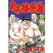 ああ播磨灘(13)（講談社） [電子書籍]